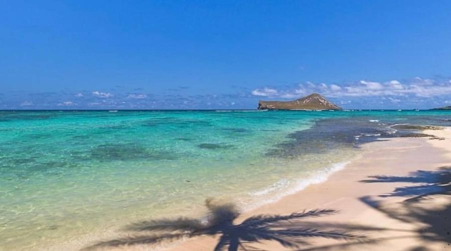 Oahu