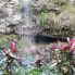 Kauai _ Fern Grotto