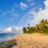 Oahu _ North Shore