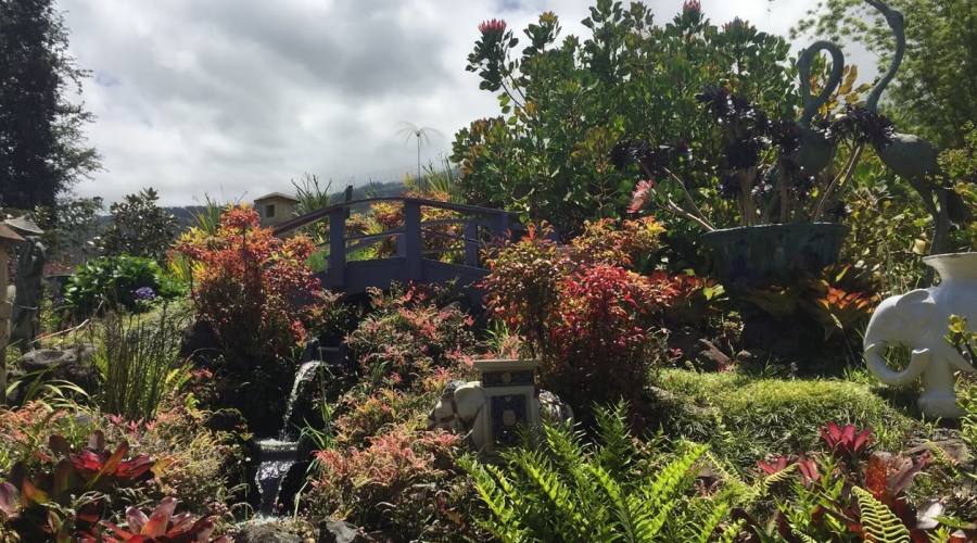 Maui _ Kula Botanical Garden