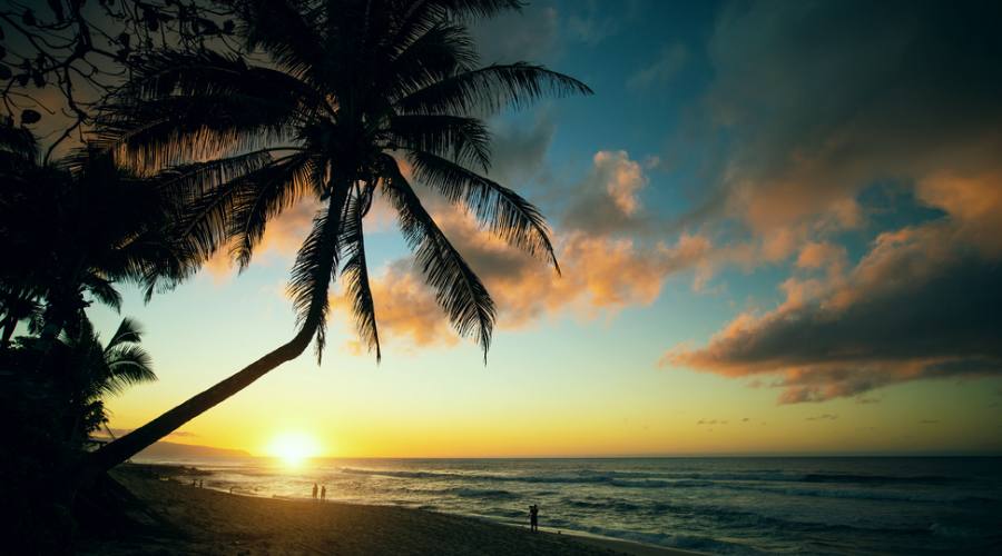 Oahu _ North Shore