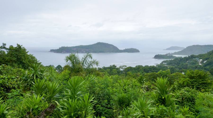 Morne Seychelles National Park
