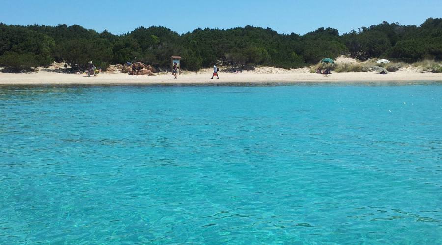 Spiagge