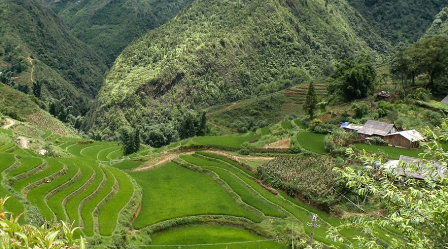 La campagna di Matale