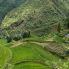 La campagna di Matale