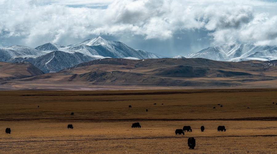Altopiano del Tibet
