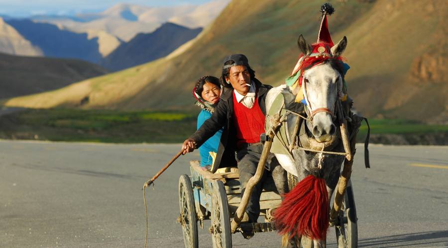 Tibet family