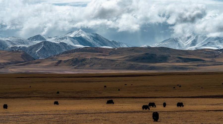 Meseta del T&iacute;bet