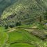Matale