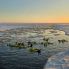 Nuotare nel mare ghiacciato