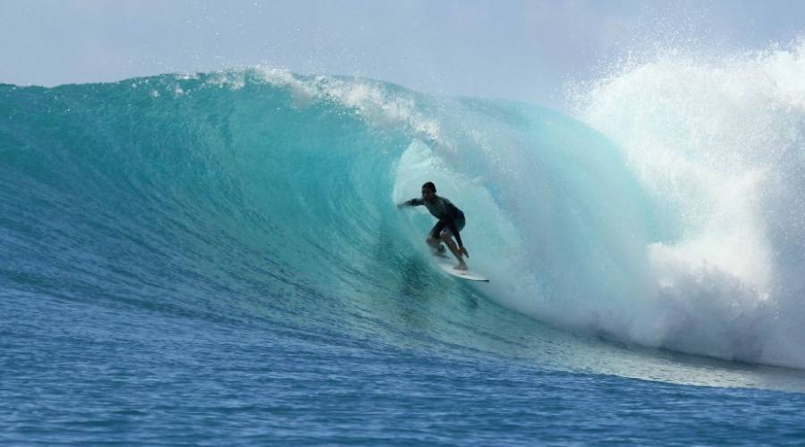 Surf