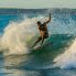 Surfista