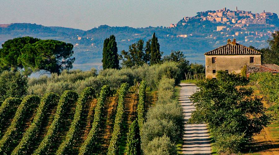 La campagna intorno a Montepulciano