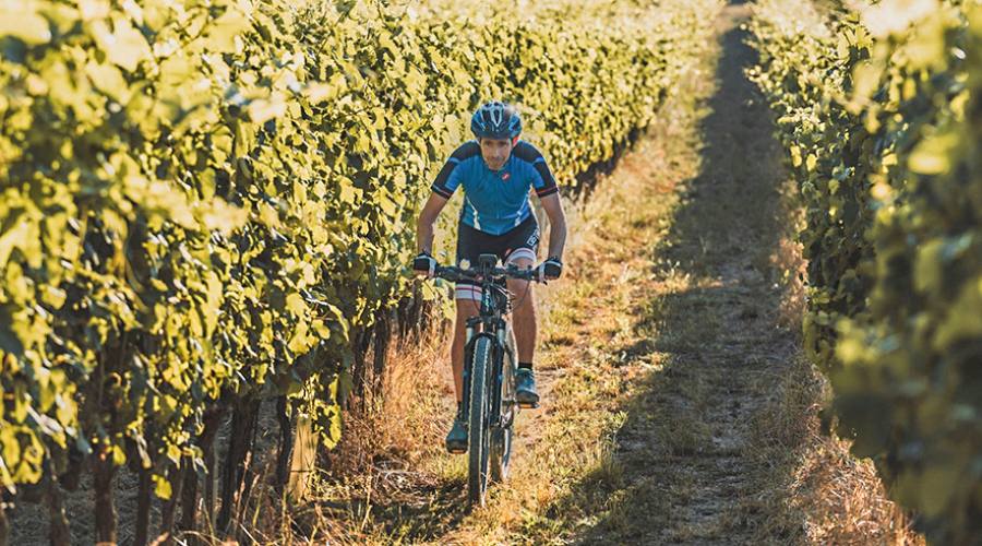 In bici fra le vigne