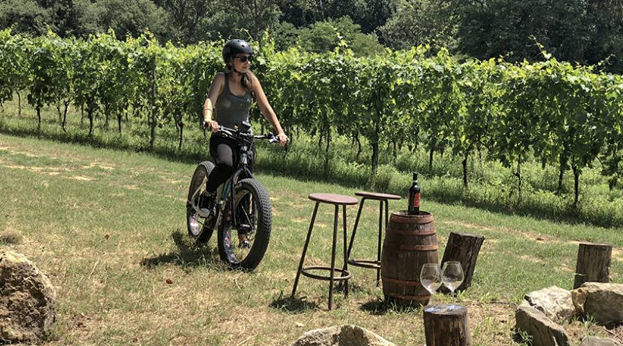Degustazione in bici in un vigneto