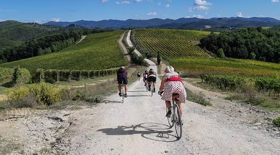Strade bianche in mezzo ai vitigni
