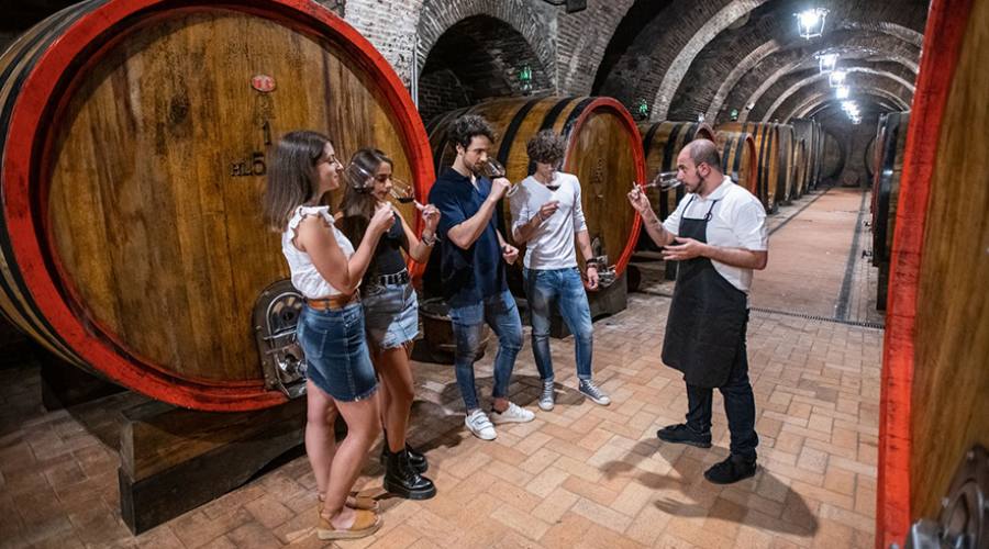 Degustazione in cantina