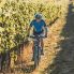 In bici fra le vigne