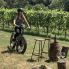 Degustazione in bici in un vigneto