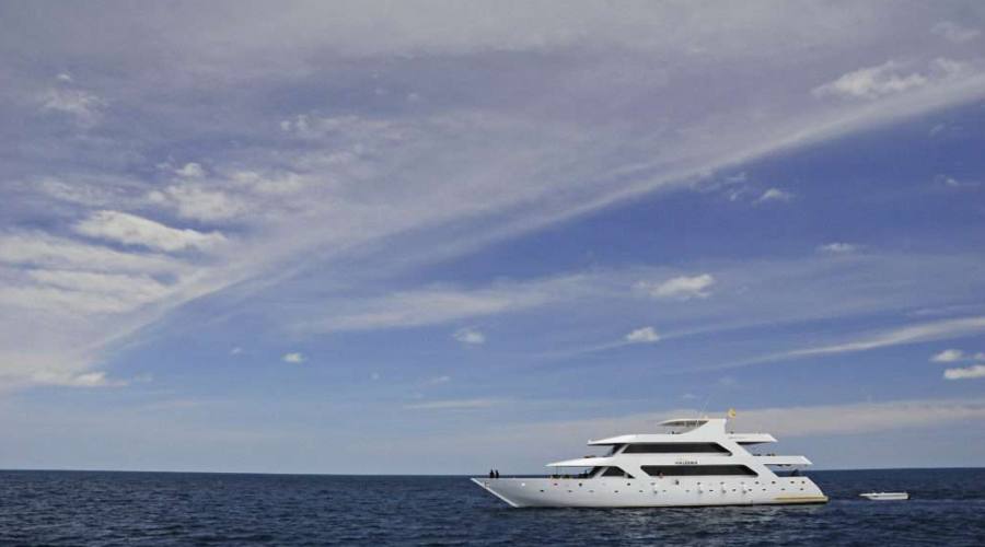 M/Y Princess Haleema
