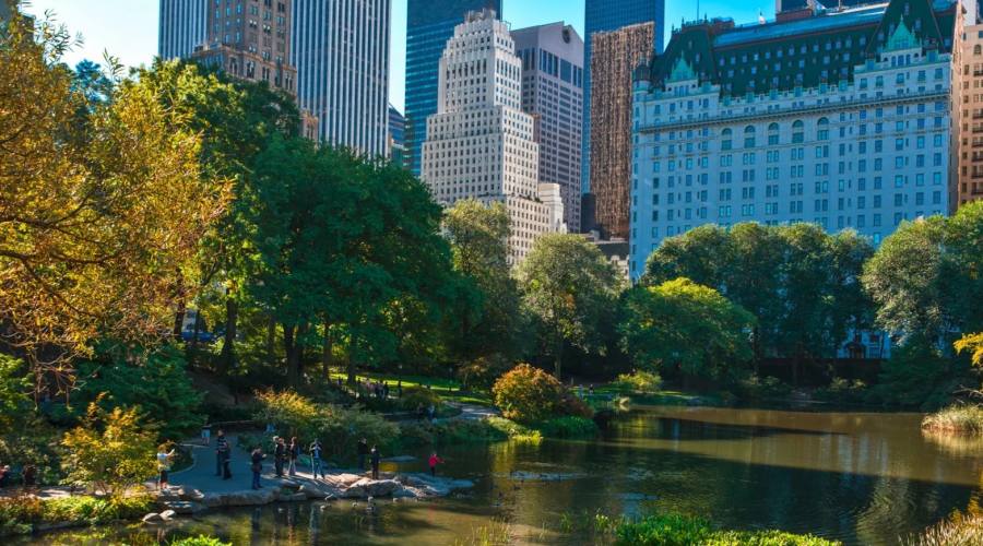 Central Park