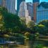 Central Park