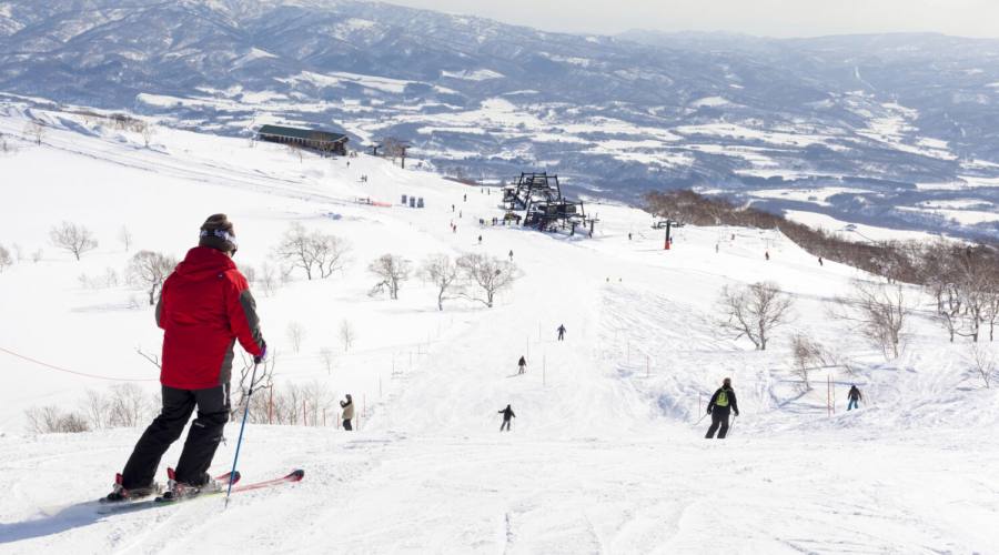 Le piste