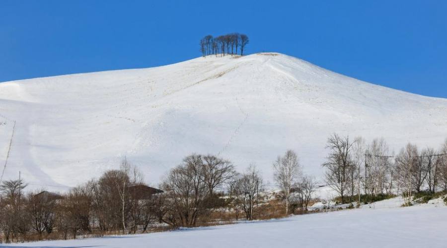 La neve giapponese