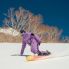 Snowboard