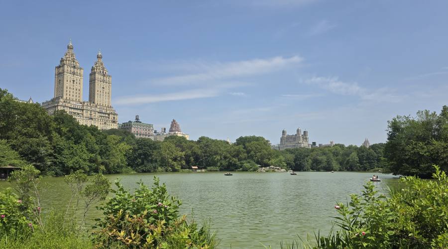 Central Park