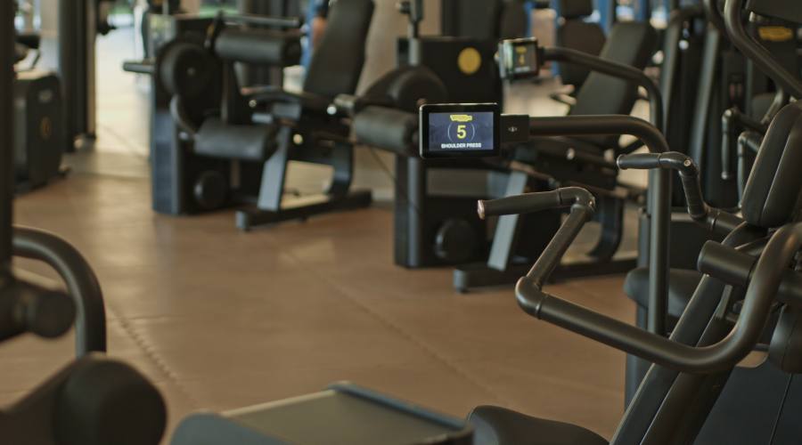 Palestra