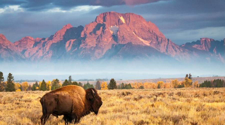 Yellowstone National Park