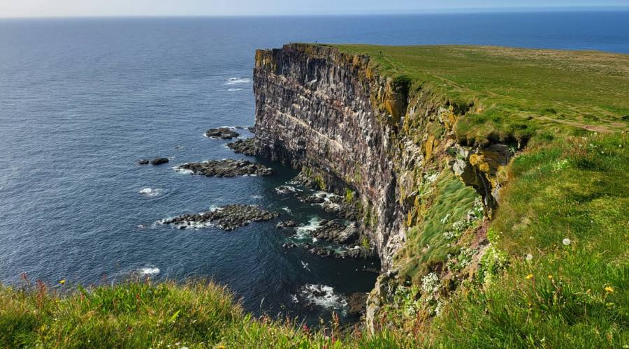 Scogliere Latrabjarg - Fiordi dell'Ovest