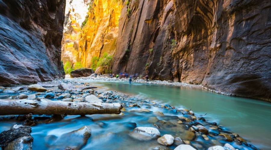 Zion National Park