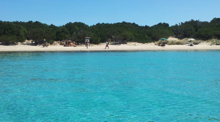 Sardegna