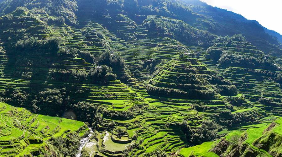 Banaue, risaie terrazzate