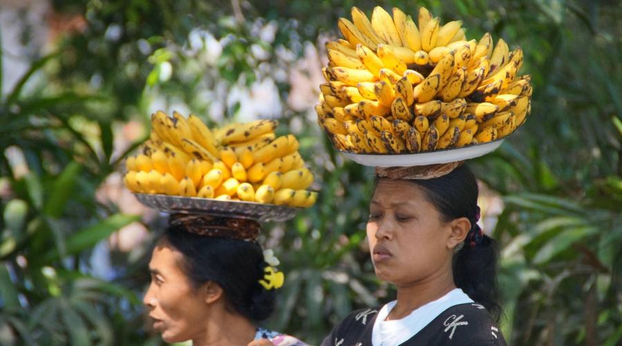 Vivere Like a Local a Bali