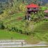 Le risaie di Bali in Escursione