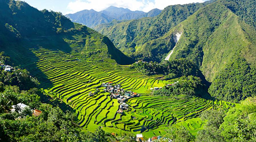 Banaue, risaie terrazzate