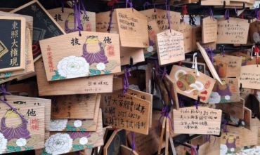 Il Sol Levante da Insider 12 notti con il supporto di chi ci ha vissuto davvero