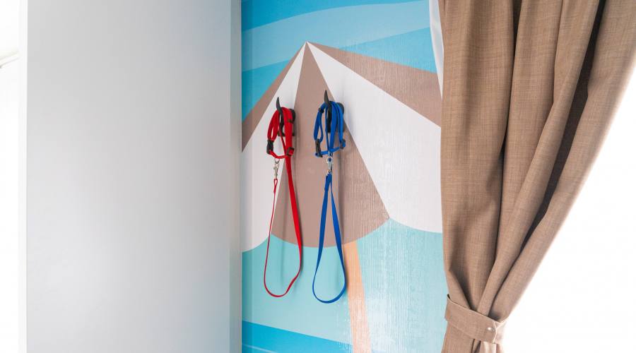 Dog Suite in Lodge Superior