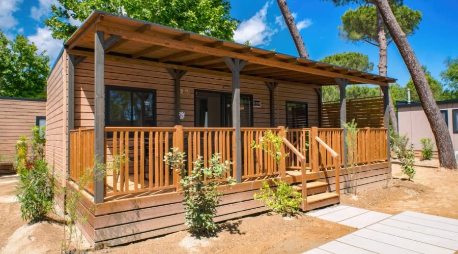 Lodge Superior Family