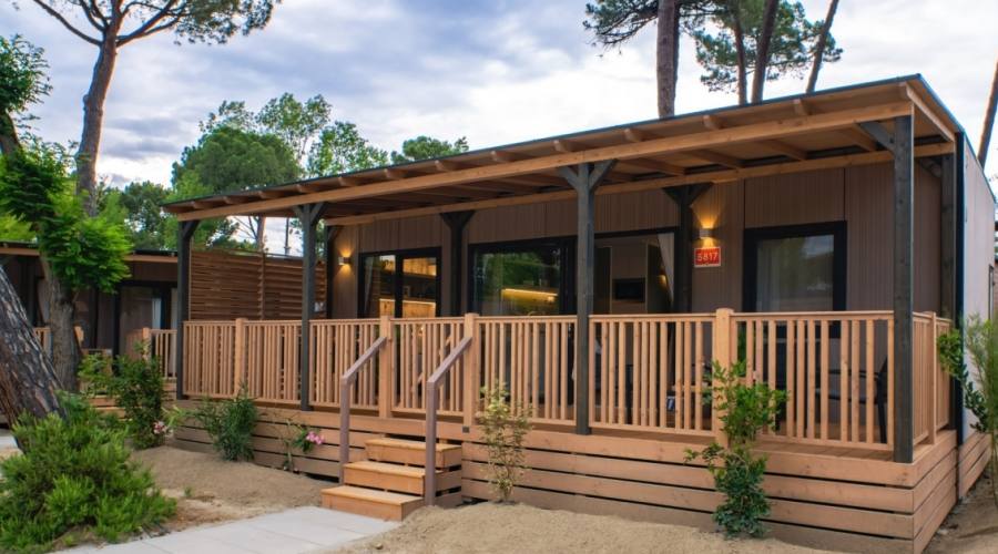 Junior Suite Mediterranea