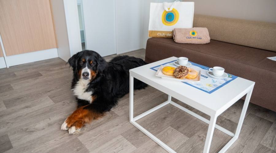 Dog Friendly Lodge Superior