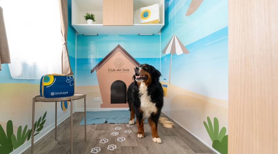 Dog Friendly Lodge Superior