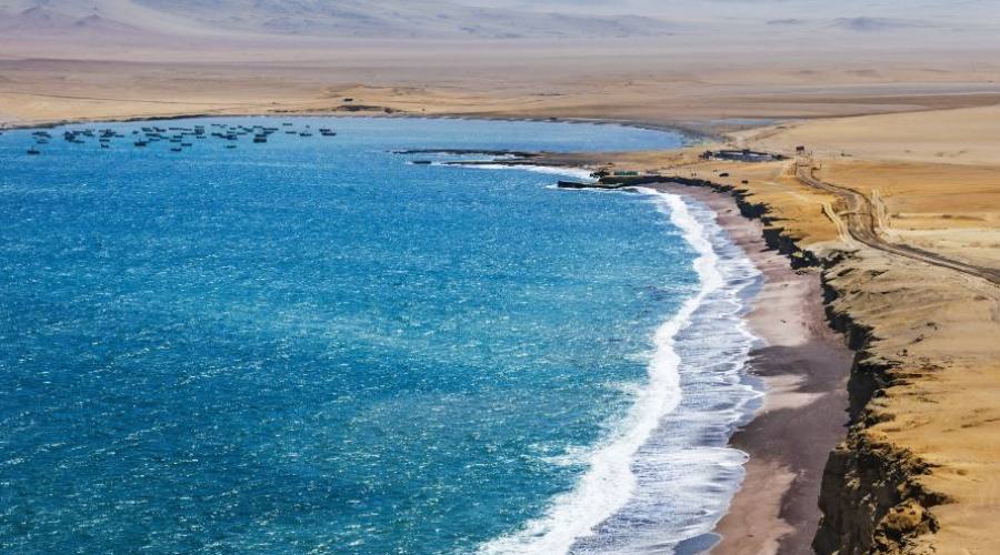 Reserva Nacional de Paracas