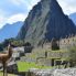Lama en Machu Picchu