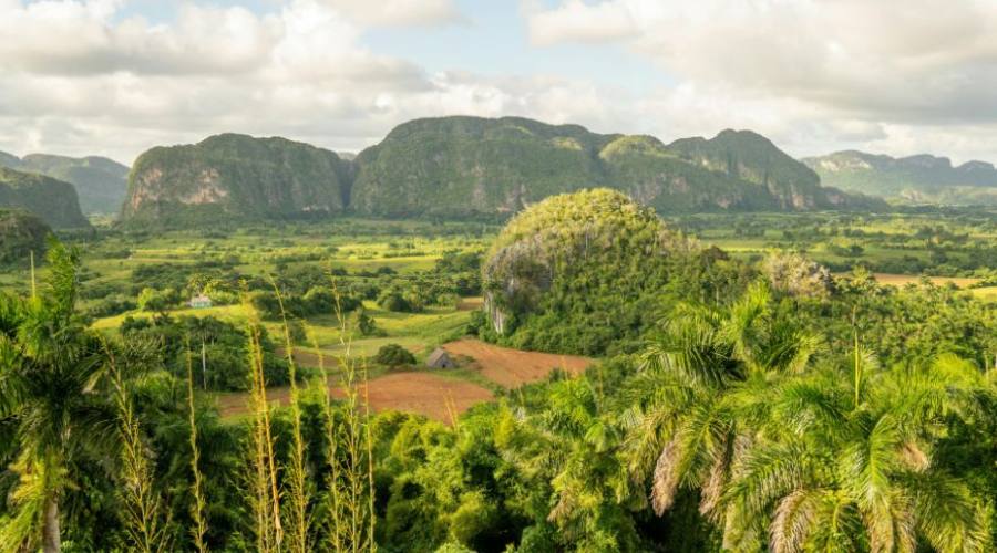 Vi&ntilde;ales