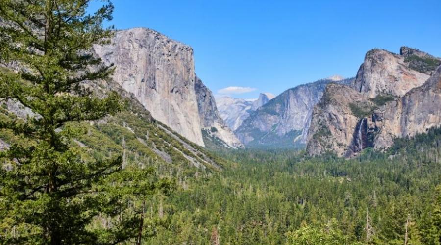 Yosemite National Park