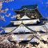 Castillo de Osaka